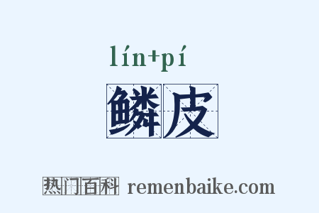 鳞皮是什么意思的图片